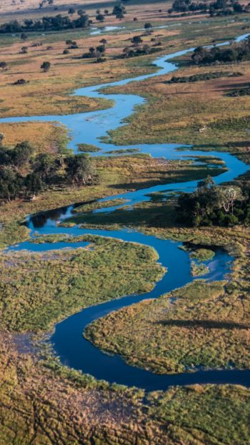 Delta del Okavango