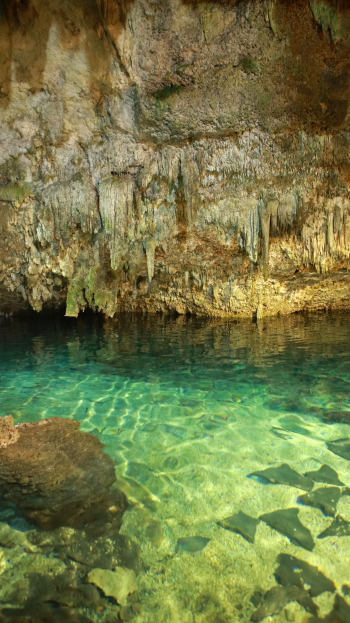 Cenote Choo-Ha